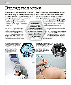 Anatomia człowieka. Wizualny przewodnik po wszystkich systemach organizmu: norma i patologie